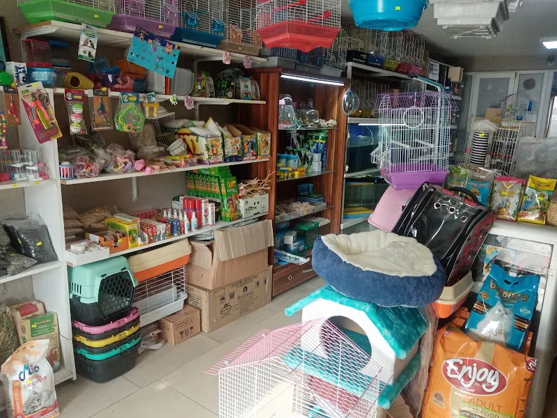Rastgele petshop foto 2