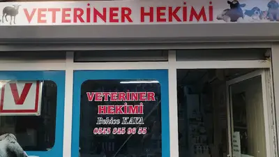 MEDİVET&KAYA KLİNİĞİ PETSHOP