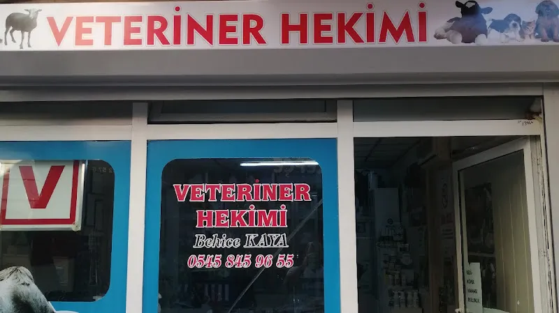 MEDİVET&KAYA KLİNİĞİ PETSHOP foto 1