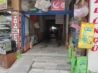 Gülpınar Petshop Akvaryum ve Kuş Galerisi