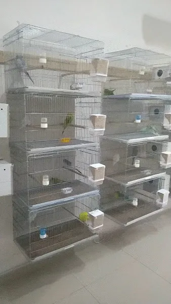 Muhabbet Kuşu Evi foto 2