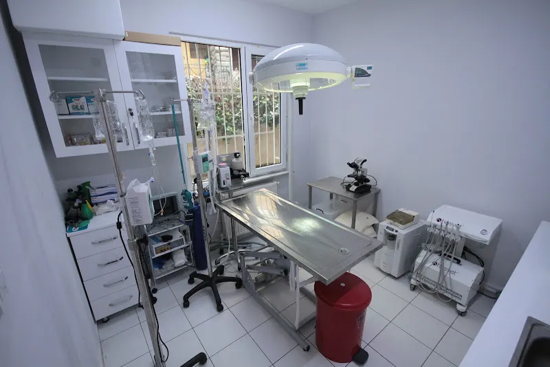 Petist Veteriner Kliniği foto 1