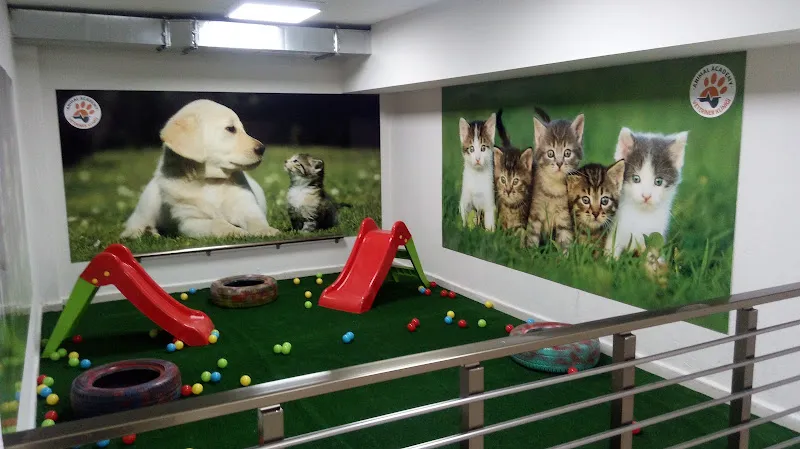 Vethome Özel Veteriner Kliniği foto 2