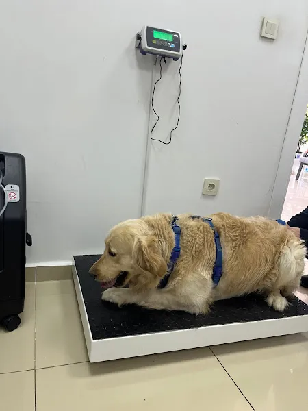 VetArk Veteriner Kliniği foto 2