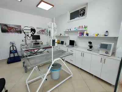 Vet-line Veteriner Kliniği