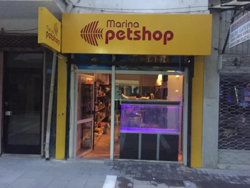 Nemo Akvaryum Ve Kuş Galerisi foto 2