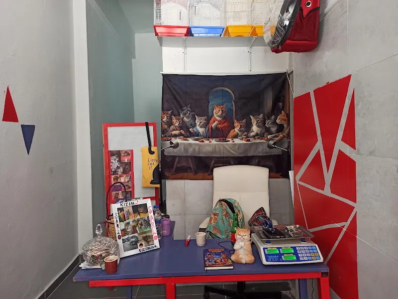 ŞARLO PETSHOP foto 2