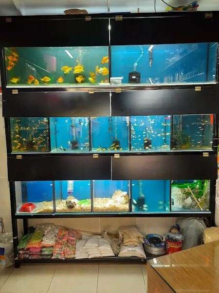 Zonguldak Petshop foto 2