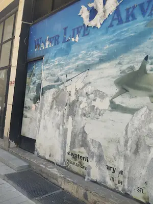 Aquawall Akvaryum