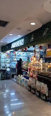 Amazon Akvaryum