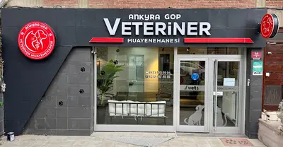 Ankyra GOP Veteriner Kliniği