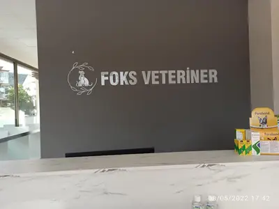 Muğla Vetfoxy Veteriner Kliniği