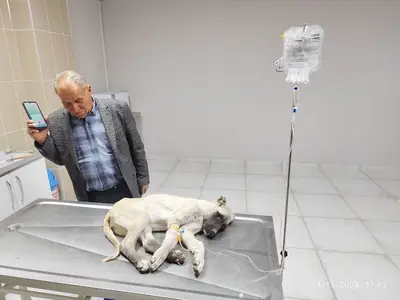 Duman Veteri̇ner Kli̇ni̇ği̇