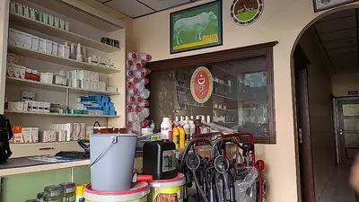 AKMAN Veteriner Kliniği