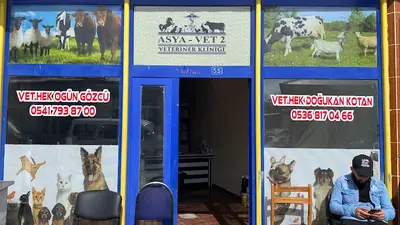 Asya-vet2 veteriner kliniği