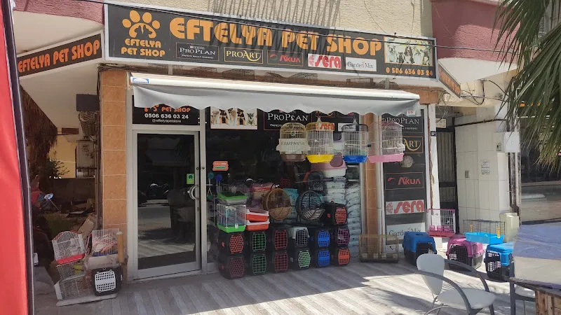 Şirin Pet Shop foto 1