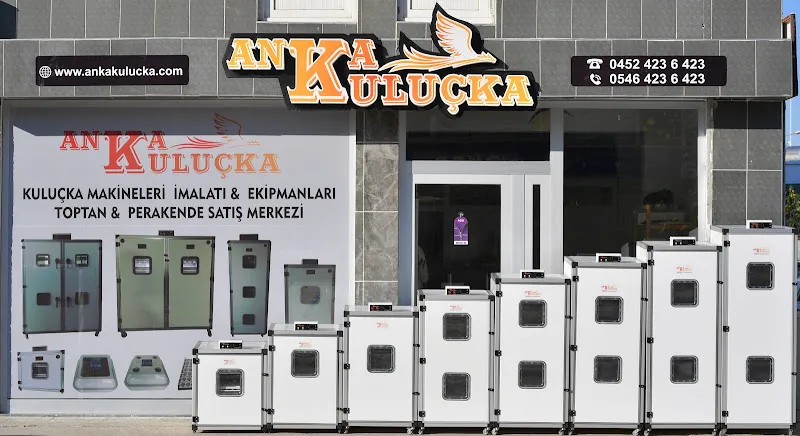 anka kuluçka foto 2