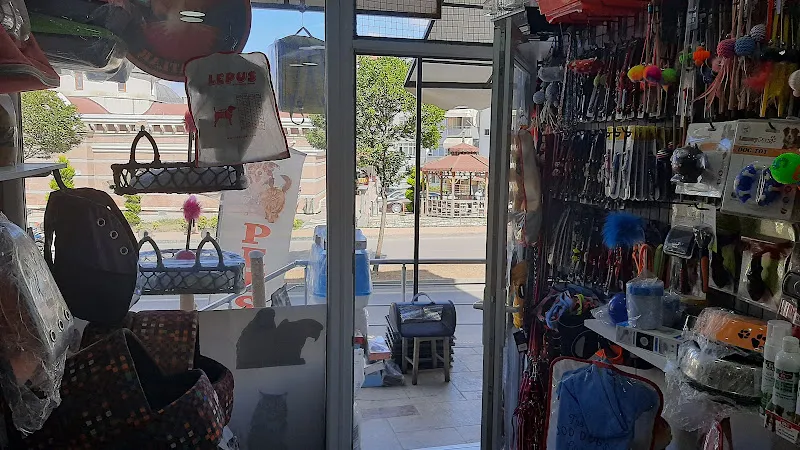 Altın Kanatlar Petshop foto 2