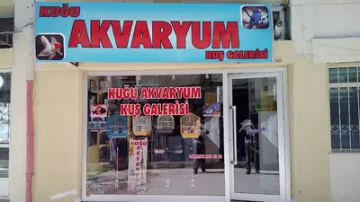 Muhabbet kuşu çoğaltma merkezi