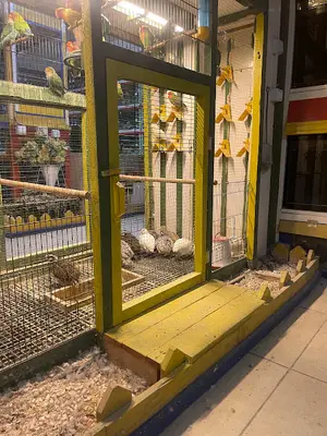 Girit Yem Pet Shop
