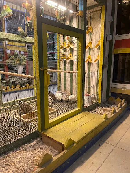Girit Yem Pet Shop foto 1