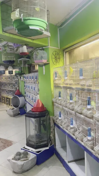 Girit Yem Pet Shop foto 2