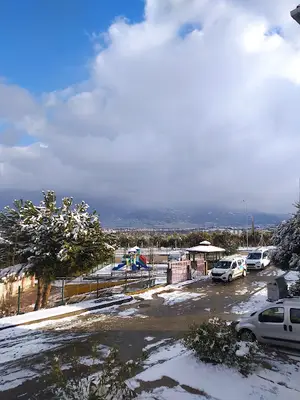 Sahipsiz Hayvanlar Doğal Yaşam Ve Tedavi Merkez