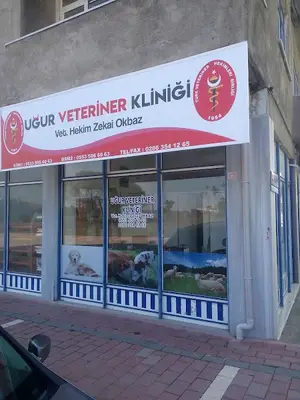 Veteriner İsmail Ağa