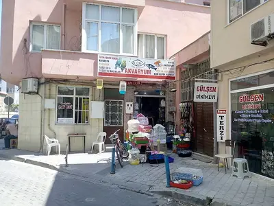 Doğa Kuş Evi PETSHOP