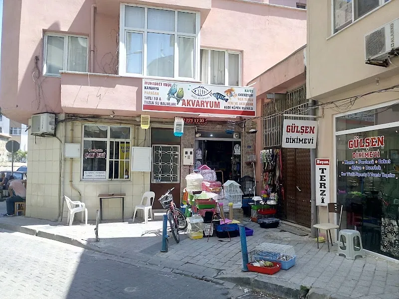 Doğa Kuş Evi PETSHOP foto 1