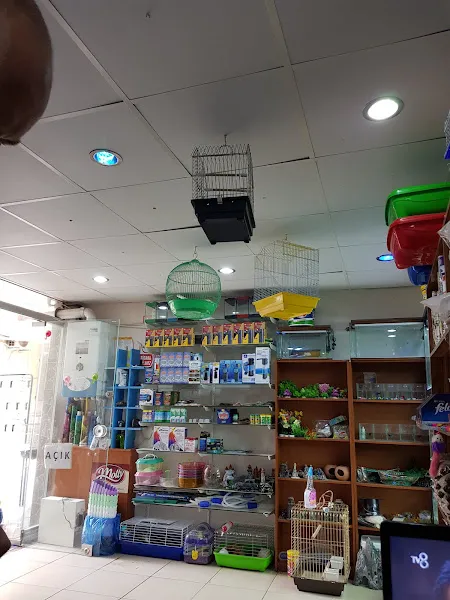 Doğa Kuş Evi PETSHOP foto 2