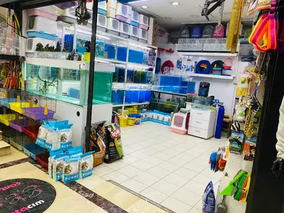 M.E.Y Pet