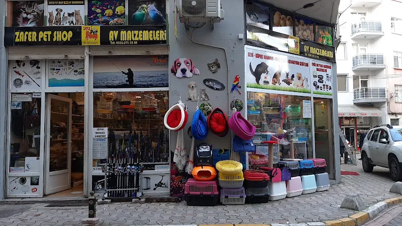 Muhabbet Kuşu Üretimi / Sümeyyenin Kuşçiftliği foto 2