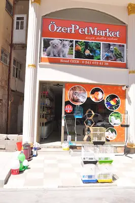 Hobi Pet Market