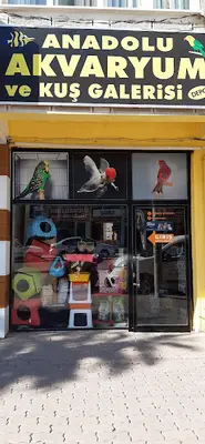 Asyam Petşop Kuş Galerisi