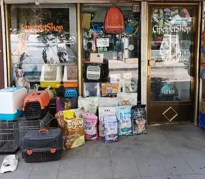 Çipet Petshop