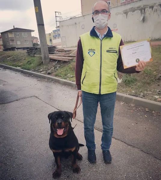Başkan K9 Gebze Köpek OTELİ KÖPEK EĞİTİMİ foto 2