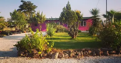 Paw House Academy