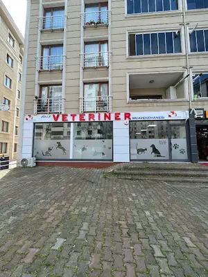 Jolly Veteriner | Kartal Veteriner & Uğur Mumcu Veteriner Kliniği