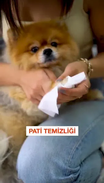 Elit Petshop Bağbaşı Şubesi foto 2