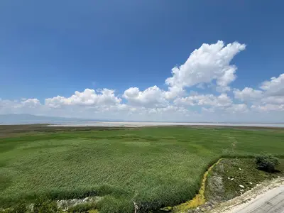 ACI GÖL KUŞ GÖZETLEME BAŞMAKÇI
