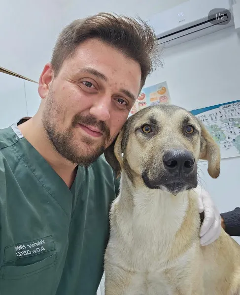 Mihav Veteriner Kliniği foto 2