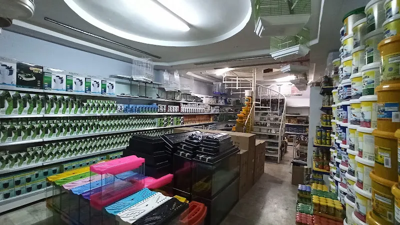 Ortadoğu Akvaryum Tropikal Balık Deposu foto 2