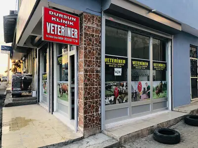 Dursun Veteriner Klinik
