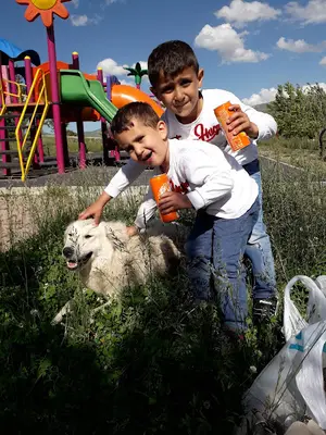Işik Veteriner Kliniği