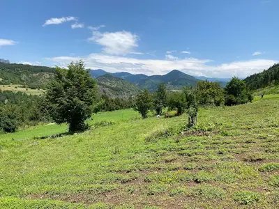 Şavşat Tarım Kredi Kooperatifi