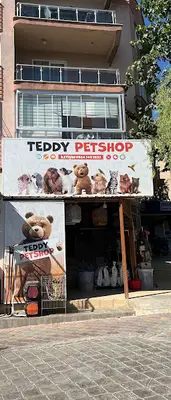 teddy petshop