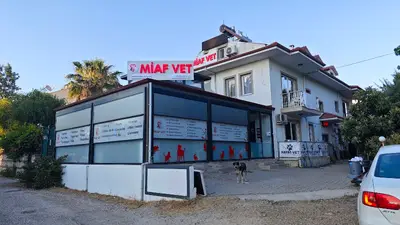 MİAF VETERİNER KLİNİĞİ