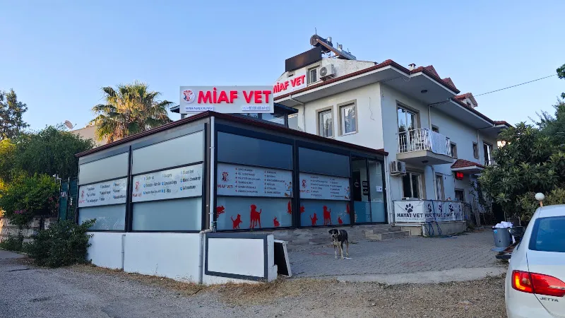 MİAF VETERİNER KLİNİĞİ foto 1