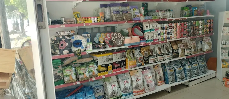 Street Petshop Spor Bayan Giyim ve İç Çamaşırı foto 2
